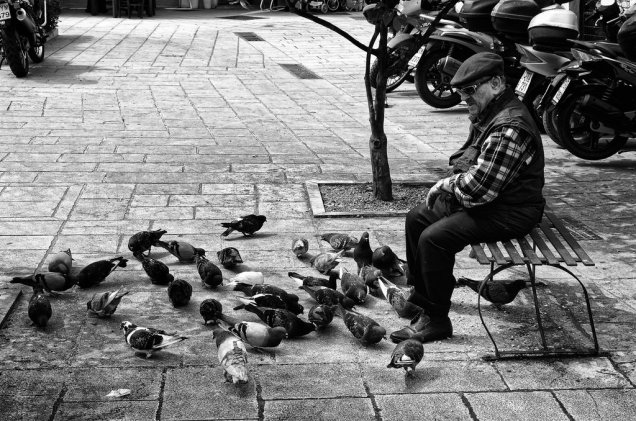 34039652543_b5995c8740_b