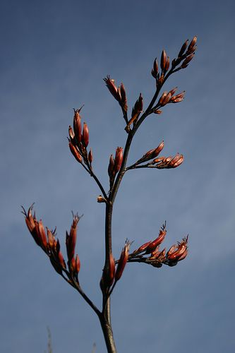 d88ae0327bb0203de4cd0e2eb74b065a